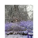 드리밍하우스 이미지