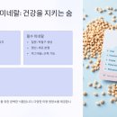 주부슈퍼 | 렌틸콩이 노화방지 슈퍼푸드로 불리는 이유, 항산화부터 단백질까지 완벽 정리