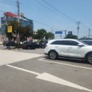 나능이 능이버섯백숙(여수주삼점) 이미지