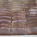 (주)알브이디 이미지