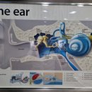 다비나안경보청기 이미지