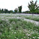 신소양체육공원 이미지