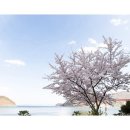 국민삼겹살 티스토리