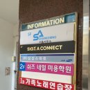 쉬즈네일블라썸 네이버블로그