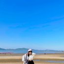 노루메기 이미지