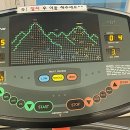 꿈꾸는바디