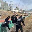 슈가복싱 이미지