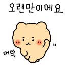 삼정탕 이미지