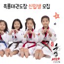 아빠가 가르치는 인성태권도장 | 화곡2동 태권도 선택 방법 │ 좋은 태권도장을 고르는 5가지 기준
