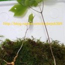 서창농장 이미지