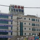 만연로+충의로 Daum카페