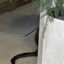 덕지농장 이미지