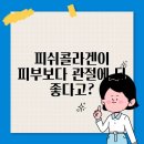 더피쉬 이미지