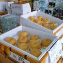 로컬푸드건너편 이미지