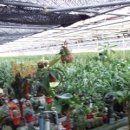 초봉농장 이미지