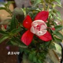 금자 이미지