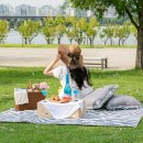 소풍앤리조트 이미지