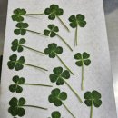 스마트큐브 2차 이미지