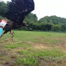 경북야생동물구조관리센터 이미지