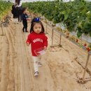 순성농장 이미지