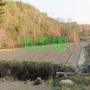 대기보건진료소 이미지