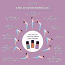 도테라코리아(유) 이미지