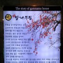 감나무묵집