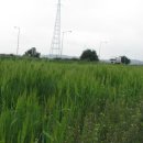 문산체육공원 이미지