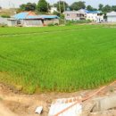 화수리농장 이미지