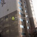 효행로291번길 Daum카페