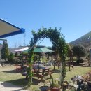 팔송정식당 이미지