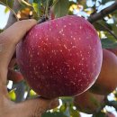 한끼보따리 이미지