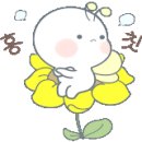 (주)하나마이 이미지