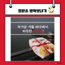 맛쟁이 이미지