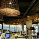 가일미술관 | 과천 데이트 [갤러리카페봄] 마르게리따콘부라따 트러플버섯크림빠빠르델레 그릴드가지라자냐 후기