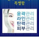 라인에스테 이미지