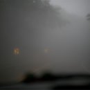 돈내코로 이미지