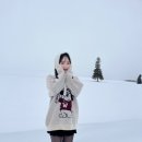 다루마 이미지