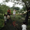 아람농장 이미지