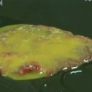 연화식당 이미지