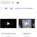 만년동사진이야기 이미지