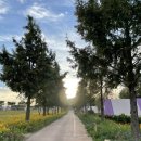 로코 스테이 이미지