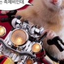 또와조아 이미지