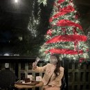 미샤부산 - 수영구 수영로705번길 11 | 미샤 라운드넥 노카라 자켓 (키작녀 트위드자켓 / 키작녀 44사이즈 브랜드추천 / 미샤 트위드자켓 후기)