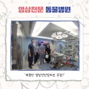 굿모닝 동물병원 이미지