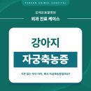 포레온 동물병원 이미지