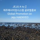 글로벌시스템 이미지