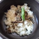 보리각시 이미지