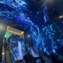 인천 영종도 미디어아트 전시 르 스페이스 인스파이어 상세 후기 (광고X, 영상 스포, 스크롤 주의)