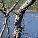 오천주유소 이미지